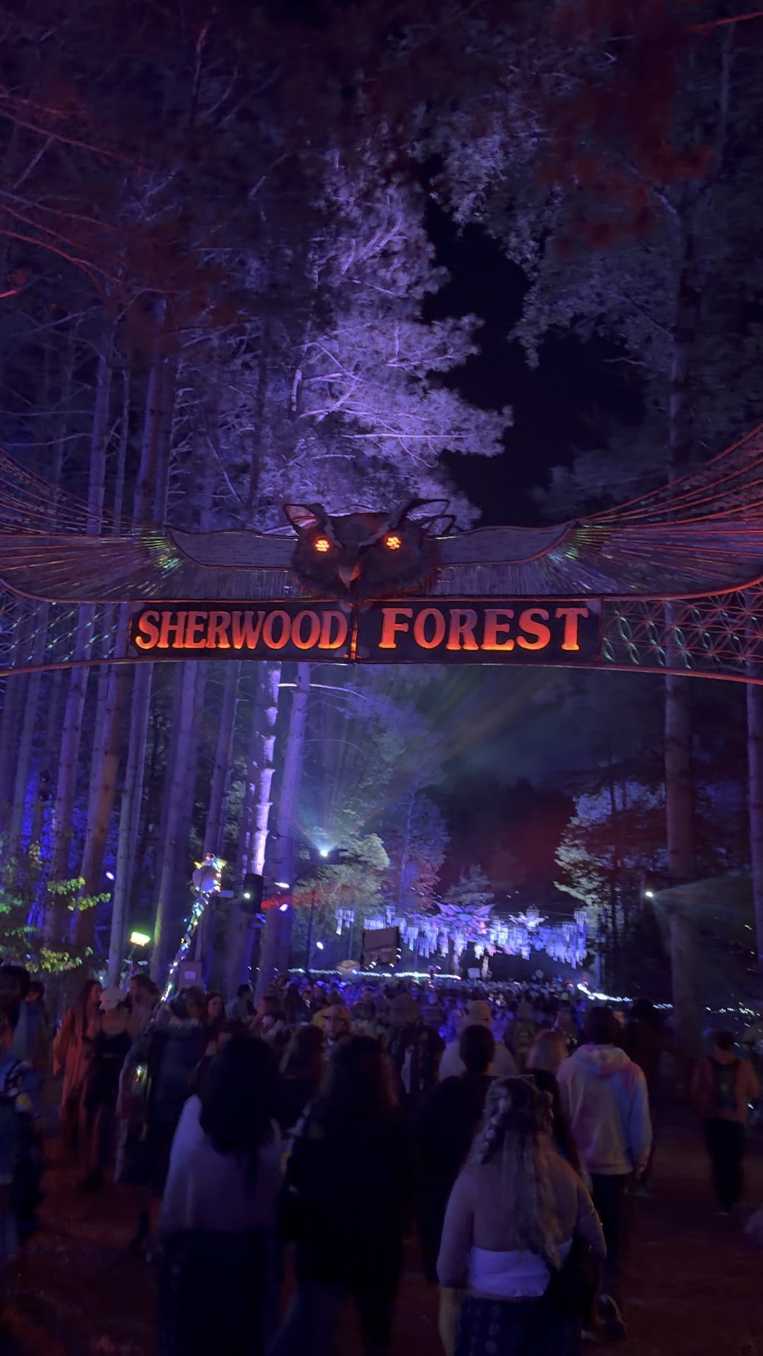 The TEMPO of the Forest